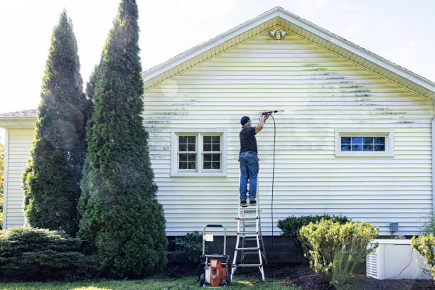 Best Dumpster Area Cleaning  in Port Neches, TX