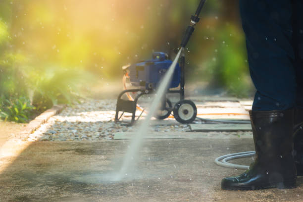 Best Driveway Pressure Washing  in Port Neches, TX